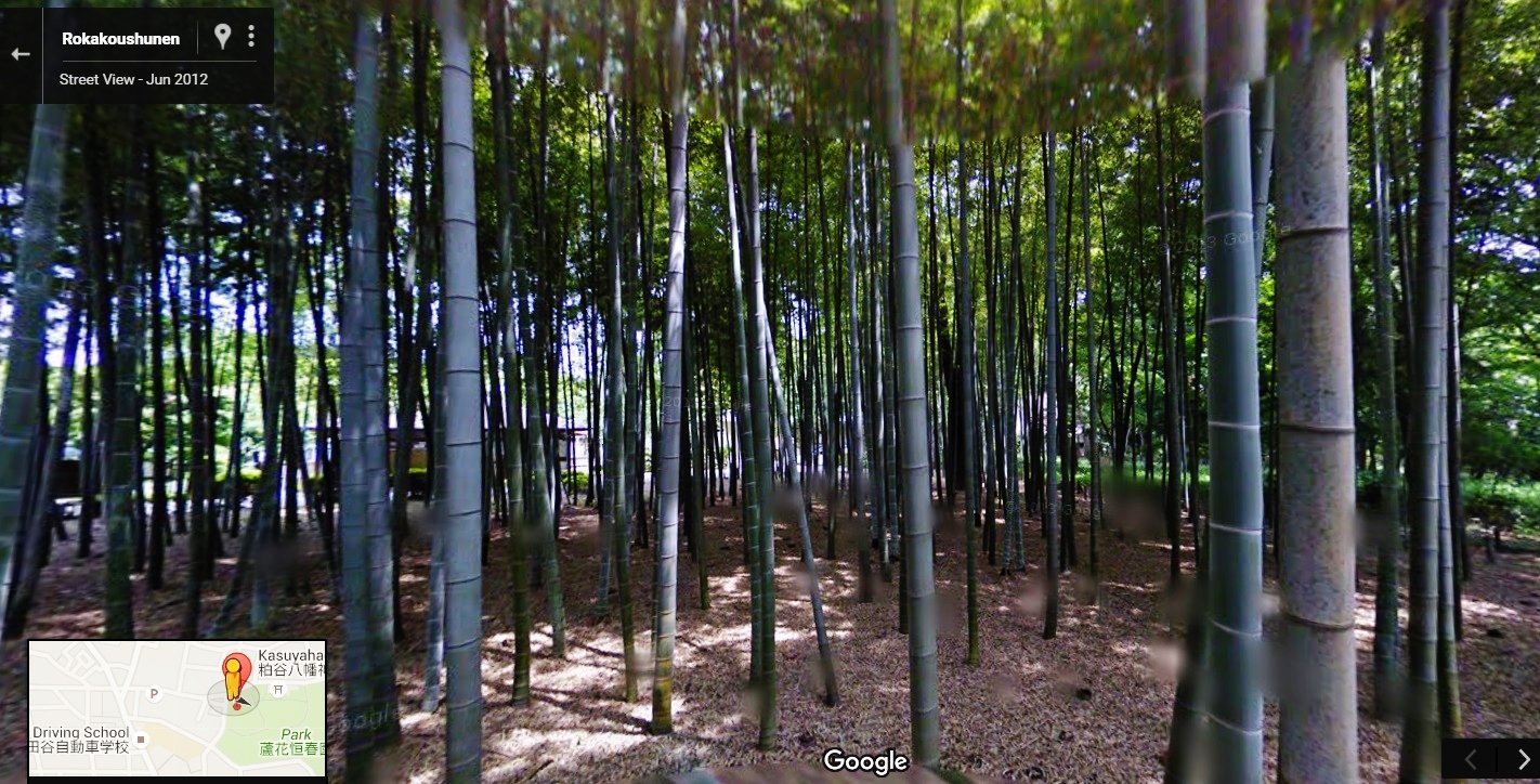 🌳 갈대꽃 늘봄 동산(로카코슌엔) 이미지 7